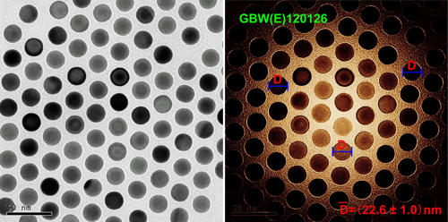 铜网上20nm金颗粒二级标准物质（GBW(E)120126）的TEM图片