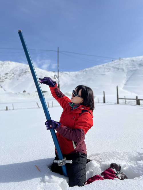 卧冰探雪