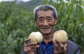 田野有希望 荒地不再荒