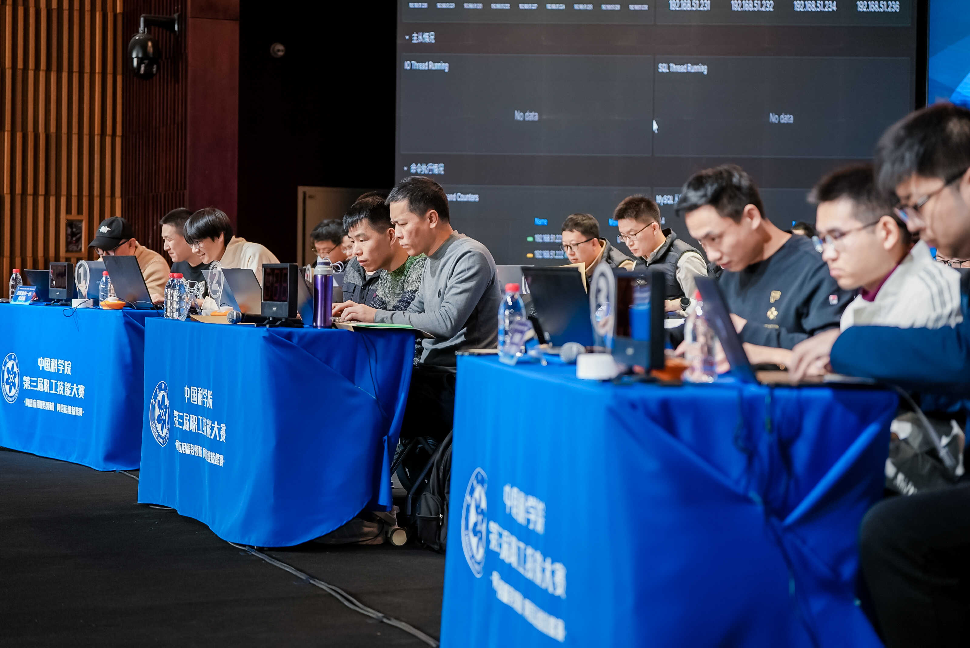 网信应用服务领域