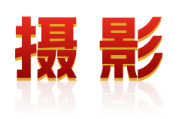 摄影