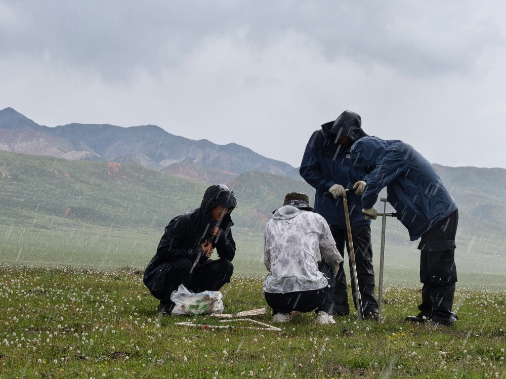 祁连山草地科考冒雨采样